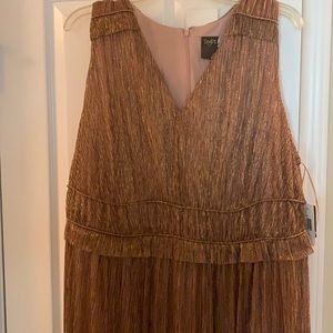 Women’s plus size dress